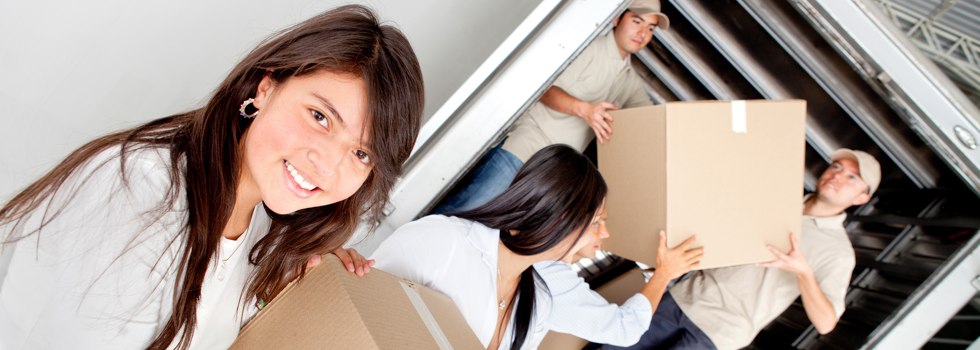 Professional Removalists Milford
